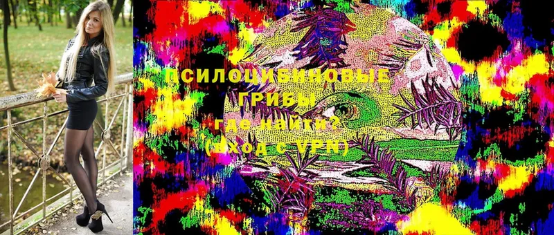 Галлюциногенные грибы MAGIC MUSHROOMS  Ишим 